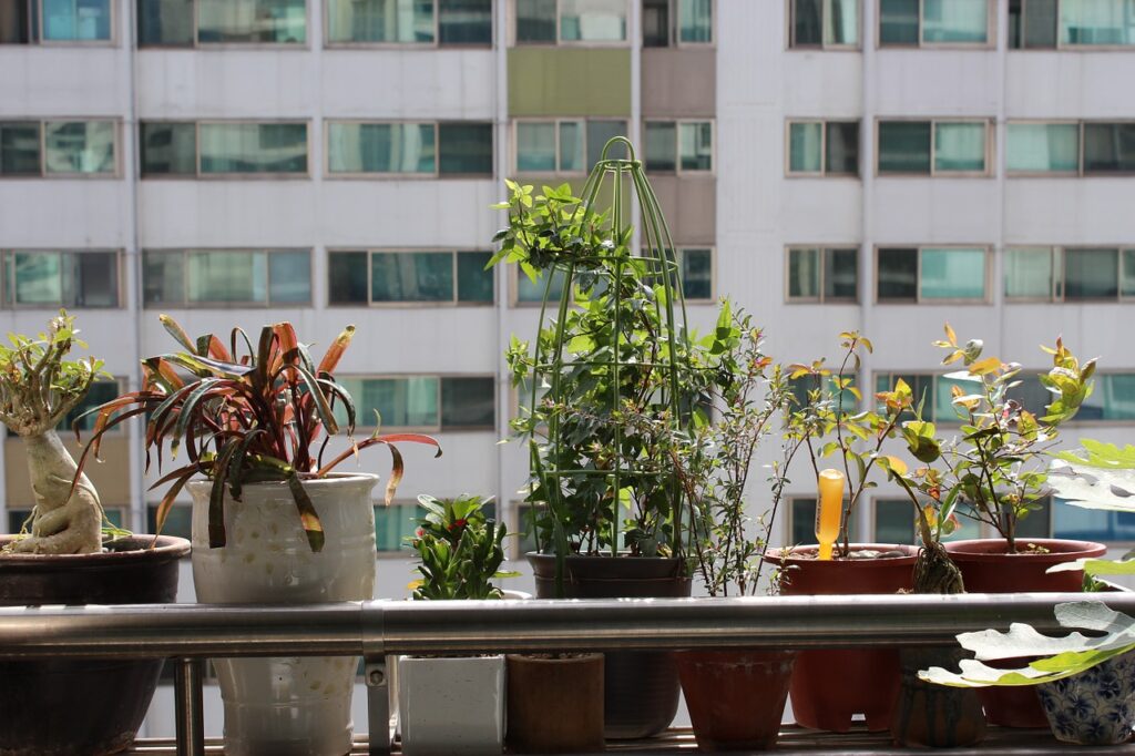 plantas em apartamento