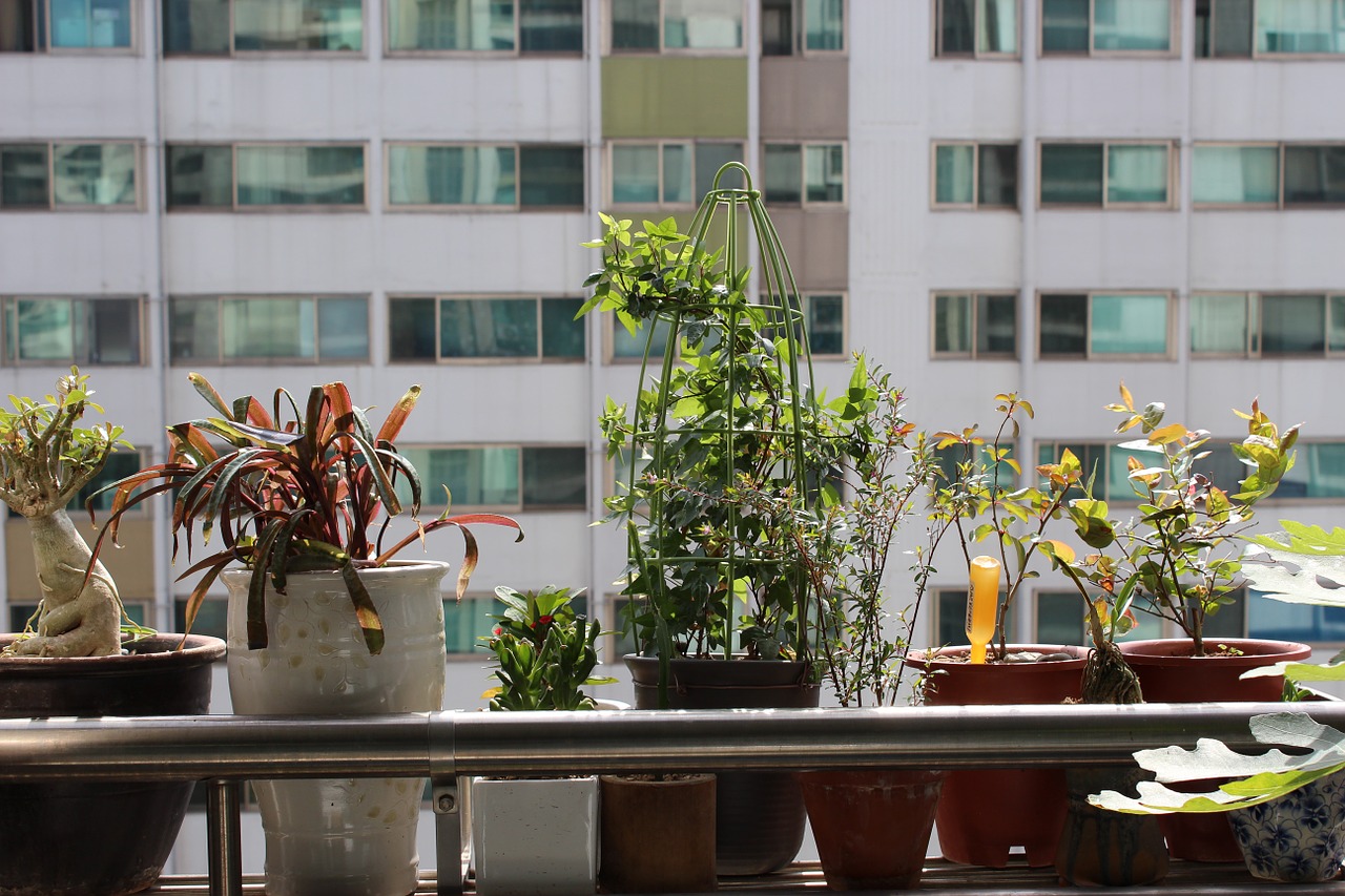 Como ter plantas em apartamento apartamento